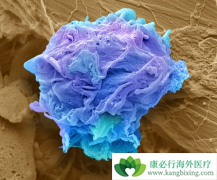 CAR-Tϸ���Ʒ���δ�������Դ�Bϸ���ܰ��������Ʒ���