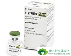 һ���о���������˫����PD-1���������Ч�������й�