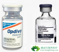 PD-1��������������ͻ�为�ɼ�⣨TMB����ʲô����