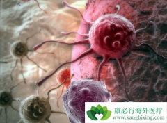 CAR-T��Ч��Σ�CD22-CAR-Tϸ�����ƺ�����ֲ��