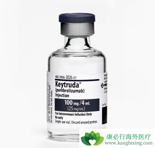 PD-1\PD-L1免疫检测点抑制剂 PD-1\PD-L1免疫检测点抑制剂