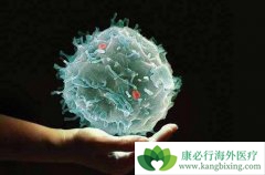 �µİ�֢���Ʒ����������ư�ϸ��������ʹ��Щϸ���ָ�����