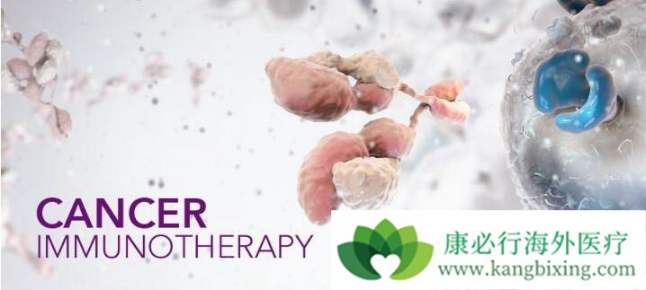 癌症治疗方法 癌症治疗方法