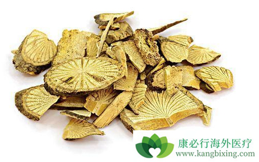 治疗癌症的药 治疗癌症的药