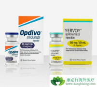 ���䵥��(nivolumab)���Ʒ�Сϸ���ΰ������ظ���������Щ