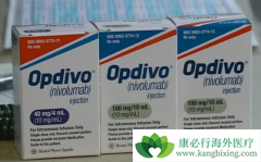 ŷ����(Opdivo)/���䵥������������������Ч�ʱ���̹��