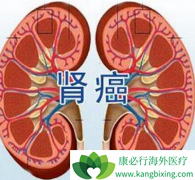 �ҹ���̹/���������ٴ��о������PFS���������������