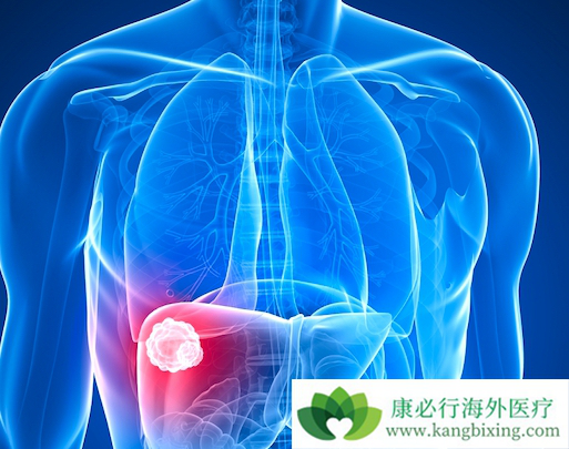 ���ڸ�ϸ����