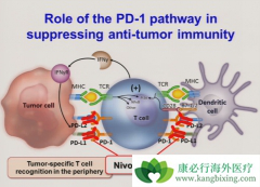 ���߼������Ƽ��Ǹ�ϸ�����������������Ʒ���