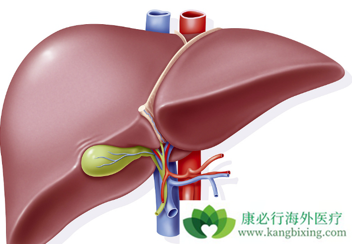 ��ϸ����