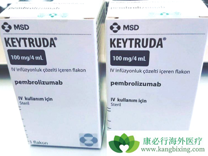 ��ϸ��������