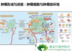 ����΢�������������������Ĺ�ϵ