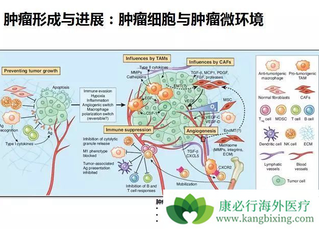 ����΢����