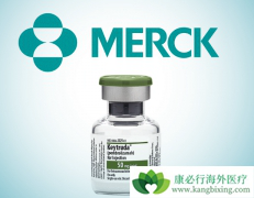 �о����־���ϸ����PD-1���Ƽ�������Ч���й�