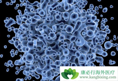 ����ҩ��������(Afatinib)���ҹ���������Ӧ֢������