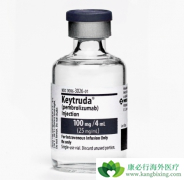 ��ɫ����ʹ�������Ʒ�PD-1���Ƽ������ʻ�����