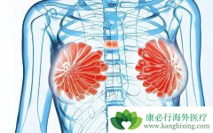 ����ǰ���ĸ��ư�֢������Щ�ص�