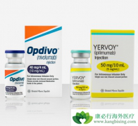 PD-1��CTLA-4�����ֳ��������߼������Ƽ�