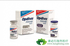 CTLA-4��PD-1���Ƽ������������ѳ�Ϊת���Ժ�ɫ������һ�����Ʒ���