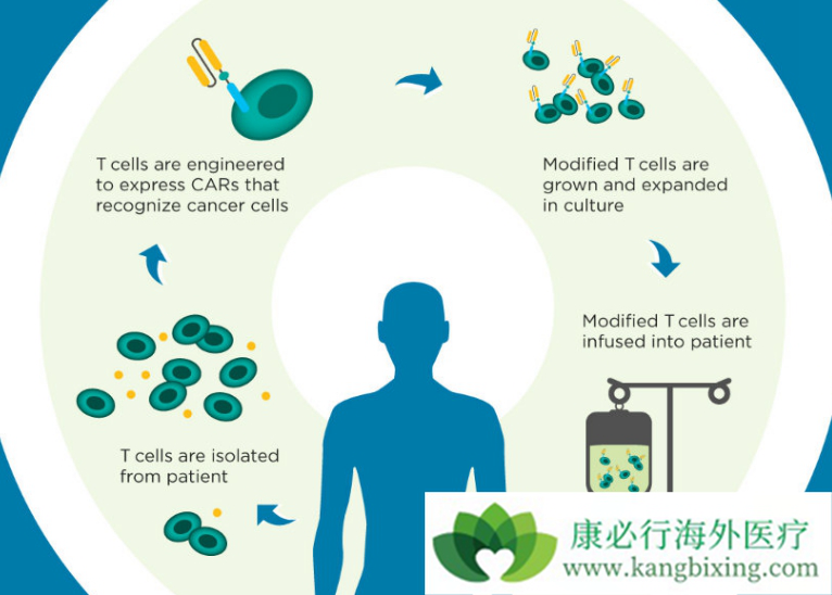 CAR-Tϸ���Ʒ�