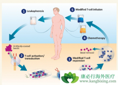 PD-1���Ƽ����ư�֢�Ƿ�Ȱ�������Ч������