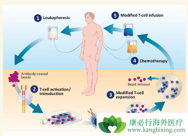 �����Ʒ�