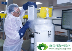 CAR-Tϸ���Ʒ��ǽ������������Ƶ���̱��Ʒ�