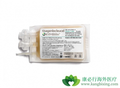 CAR-Tϸ���Ʒ�����ϸ�����ӷ籩����Ҫԭ����ʲô