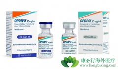 PD-1���Ƽ��ĳ��ָ������఩֢������������