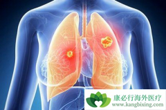 ���ᰣ������Ƭ/��������˵������������ΰ����ߵ��ٴ��о���