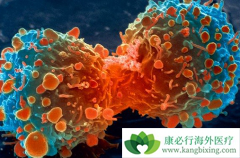 �������Ʒ��ٷ�չ Խ��Խ�఩֢�������Ʒ�������ѡ��