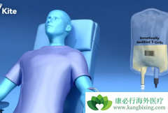 CAR-Tϸ���Ʒ���������ѧ����򹤳�����ǿ��������ϸ��