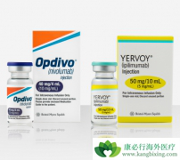 �Ѿ����й����е�PD-1���Ƽ�Opdivo����������߷ΰ�����������