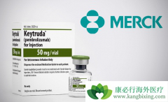 ������PD-1���Ƽ����Keytruda���ٴ����鼫�������