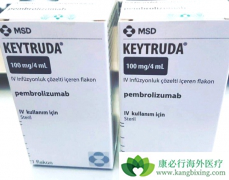 PD-1���Ƽ�Ϊ��֢�����ṩ��һ�������ڴ�ͳ�Ʒ��������Ʒ���