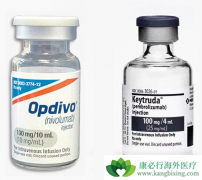 ����PD-1������ô�����й���PD-1���Ƽ����е���