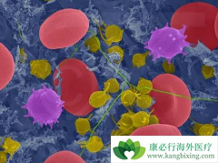 ��ɳ��(Eloxatin)��������ϸ���ܰ�������ѡ����ҩ��