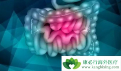 FOLFIRI�������ᵥ��(Panitumumab)����ֱ���������ò�����