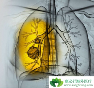 ӡ��������(crizalk)/�������������������ͻ��ķΰ�����