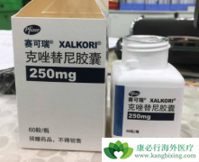 ALK���Էΰ�����һ����ҩѡ��������(Xalkori)���ǰ�������