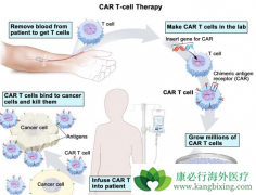 ҩ����ŵ��˾������CD19Ϊ�е��CAR-T��Ʒ�з�