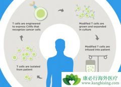 ȫ�µ�CAR-T������ע��ʽ����������ʵ��������