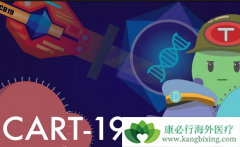 Ŀǰ����CD19�����ŵ�CAR-T���ưе�����Щ