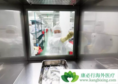 CAR-Tϸ���Ʒ��������������ٴ������չ��ô��