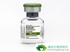 PD-1���Ƽ�Keytruda�ڷΰ����Ƶ�Ч����ʤͬ��ҩ��