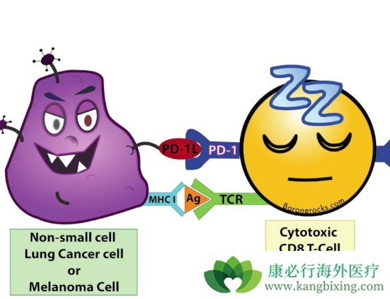 免疫治疗 免疫治疗