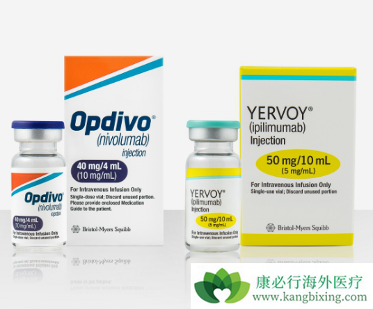 免疫检查点抑制剂 免疫检查点抑制剂