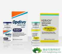 PD-1����Opdivo����CTLA-4����Yervoy���ư�֢Ч�����