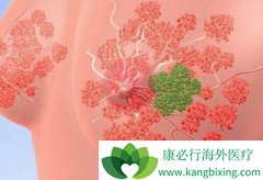 ���ٰ��ڷ�������ֹͣ��ҩ��ĸ�������