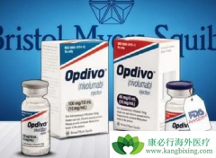 ��֢�����ڻ���ǰ��ʹ��PD-1���Ƽ�����Ч����ô��